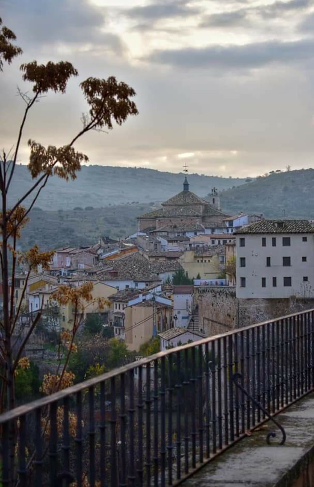 WhatsApp Image 2021-10-12 at 16.22.13-3