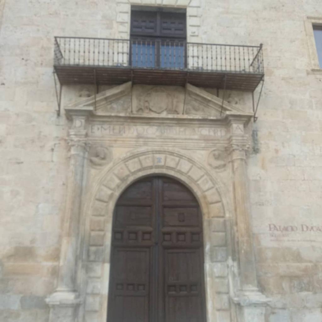 WhatsApp Image 2021-10-12 at 16.22.50