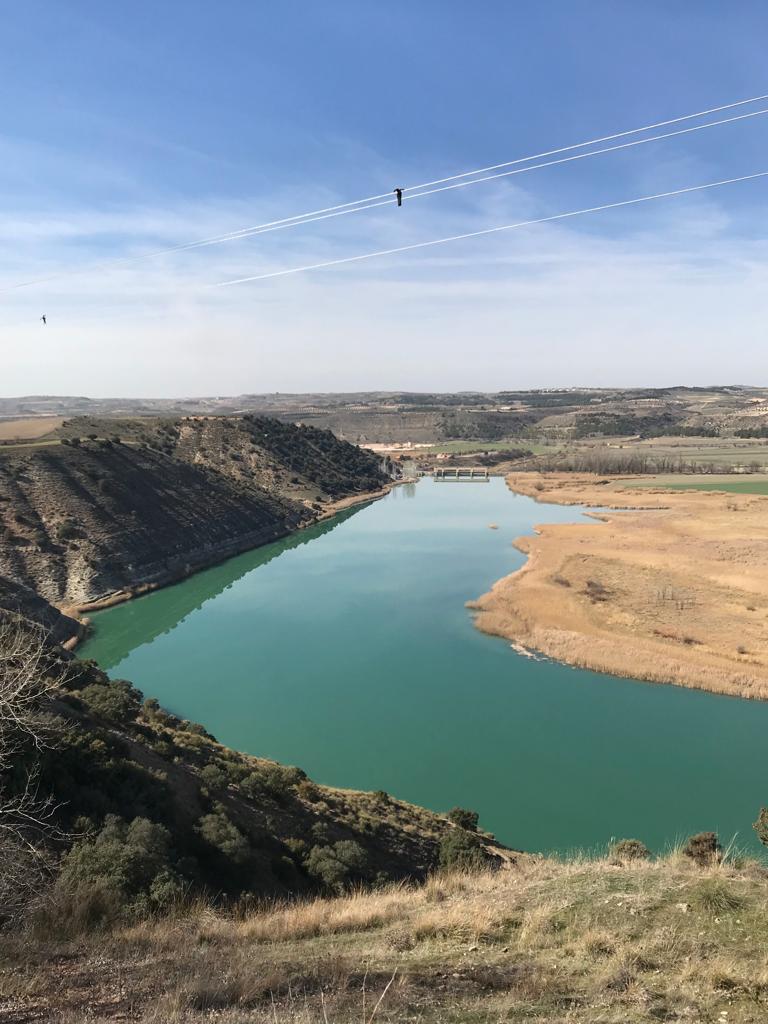 WhatsApp Image 2021-10-13 at 11.16.11