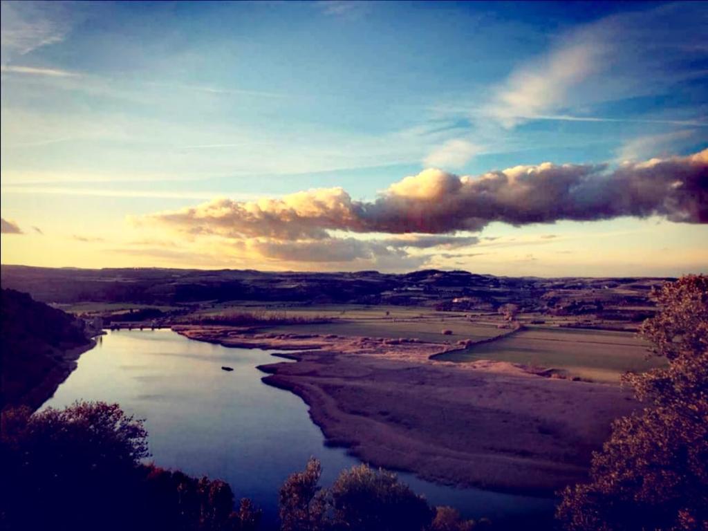 WhatsApp Image 2021-10-13 at 11.16.54