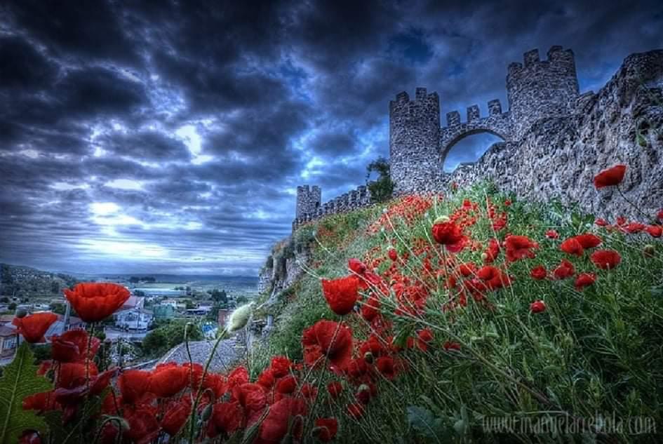 WhatsApp Image 2021-10-13 at 11.17.13-2