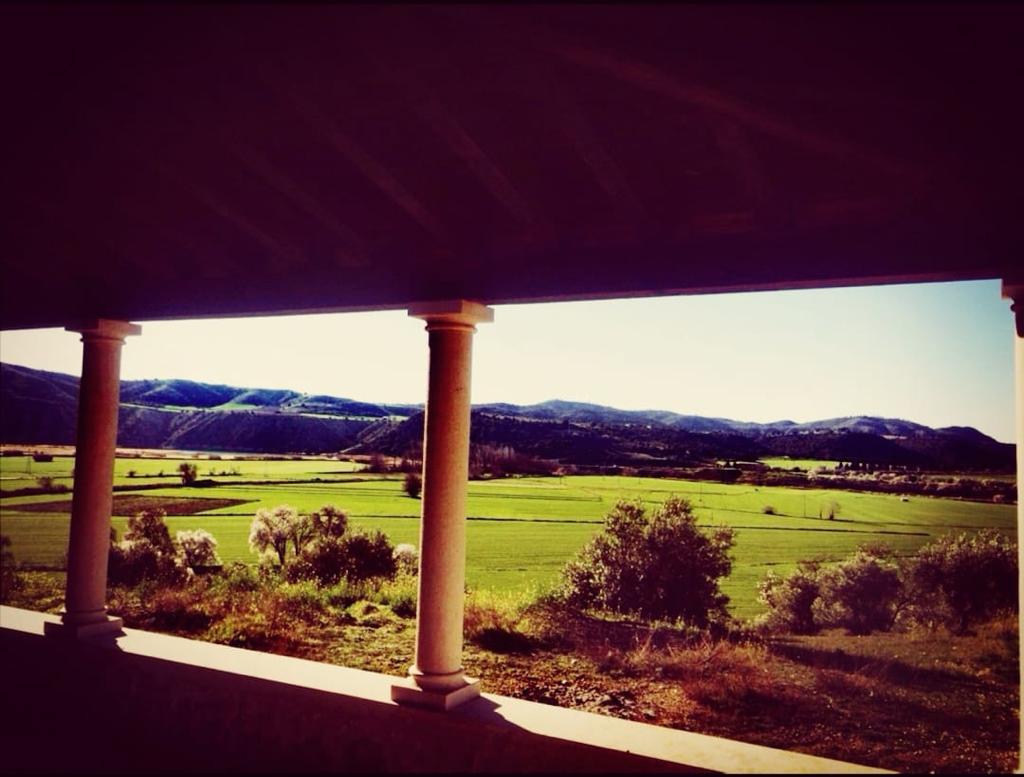 WhatsApp Image 2021-10-13 at 11.17.13-3