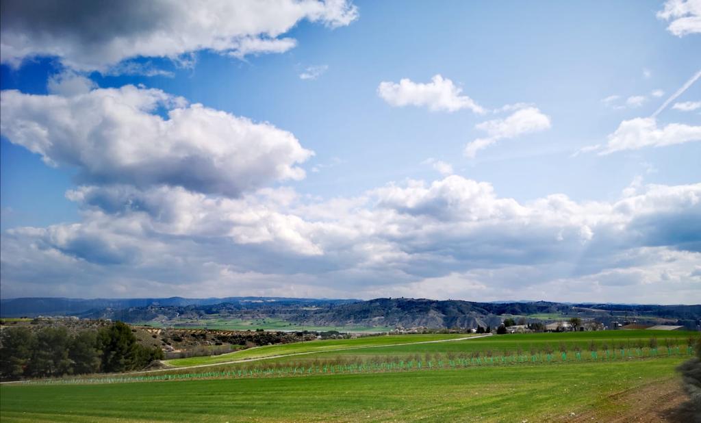 WhatsApp Image 2021-10-13 at 11.17.13