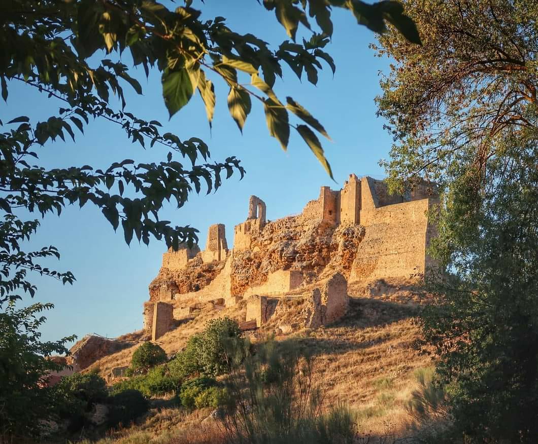 WhatsApp Image 2021-10-13 at 11.19.11