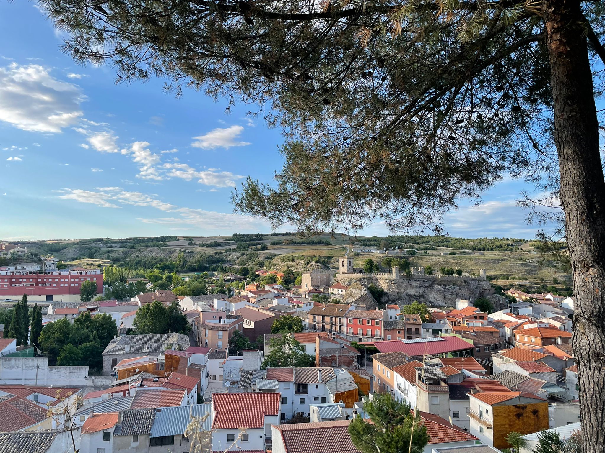 WhatsApp Image 2021-10-13 at 23.30.43